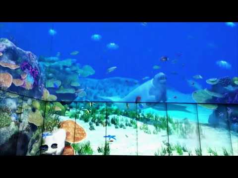 The Cube at QUT - world&#039;s biggest multitouch installation