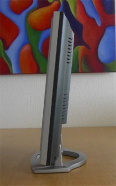 Seitliche Ansicht
