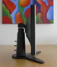 Seitliche Ansicht