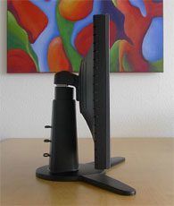Seitliche Ansicht