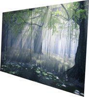 Eizo S2110w K Monitor Eizo S2110w K Blickwinkel1