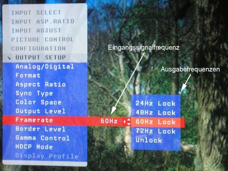 Auswahl der Framerate bei einem Videoprozessor (hier: iScan VP50)