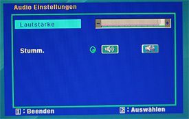 Viewsonic Vled221wm Monitor Viewsonic Vled221wm Osd Audio