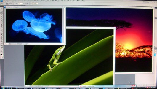 Iiyama Prolite B2409hds 1 Monitor Iiyama B2409hds Vollbild Thumbnail
