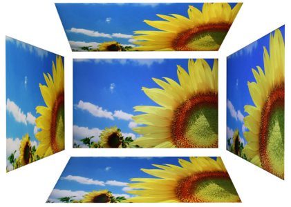 Dell 2209wa S Monitor 2209WA Blickwinkel