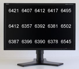 Nec Lcd2490wuxi Bk Monitor Nec 2490 Farbtemp1