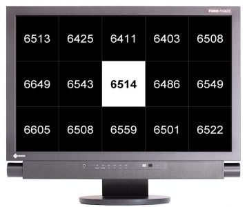Eizo Foris Fx2431 Bk Monitor Farbtemperaturverteilung