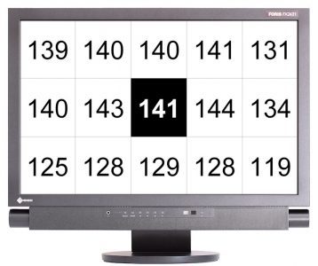 Eizo Foris Fx2431 Bk Monitor Helligkeitsverteilung