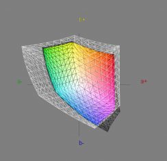 Eizo Foris Fx2431 Bk Monitor Icc3d Srgb L+
