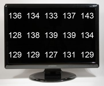 Hyundai W220s Monitor Hyundai W220s Helligkeitsverteilung