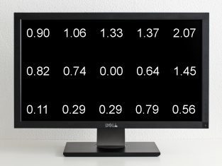 Dell U2410 Monitor Bildhomogenitaet
