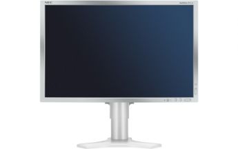 Test NEC PA241W: Bester 24 Zoller unter 1.000 Euro