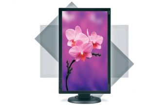 NECs MultiSync-Familie bekommt LED-Zuwachs