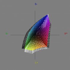 Samsung Bx2440 Monitor SRGB1