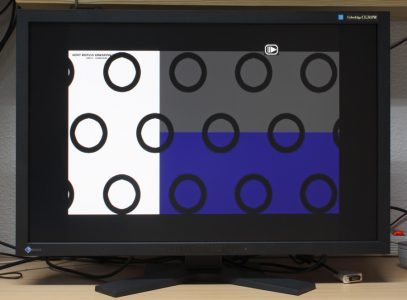 Eizo Cg303w Monitor Aspect