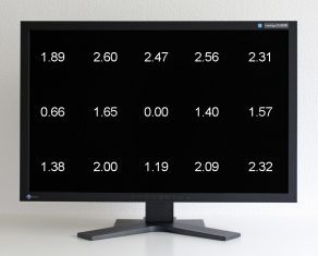 Eizo Cg303w Monitor Homogenitaet1