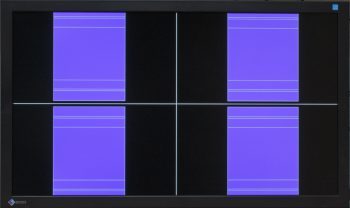 Eizo Foris Fs2331 Bk Monitor Overscan2