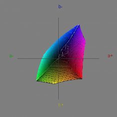 Eizo Foris Fs2331 Bk Monitor SRGB1