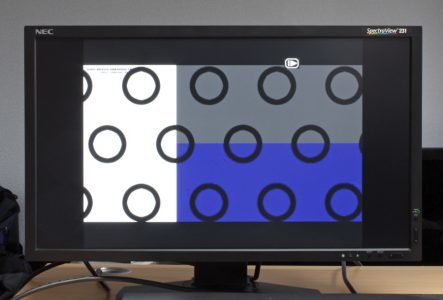 Nec Spectraview 231 Monitor Aspect