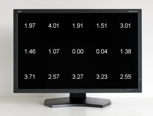 Nec Pa301w Bk Monitor Homogenitaet1