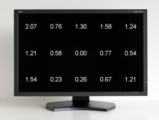 Nec Pa301w Bk Monitor Homogenitaet2