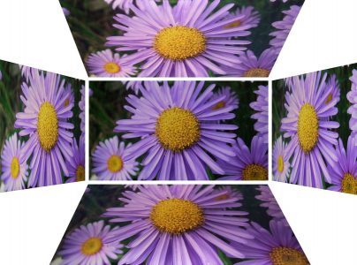 Lg Flatron Ips231p Monitor Blickwinkel