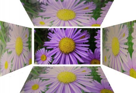 Iiyama Prolite X2472hd Monitor Blickwinkel