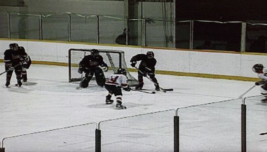 Aoc E2352phz Monitor Eishockey