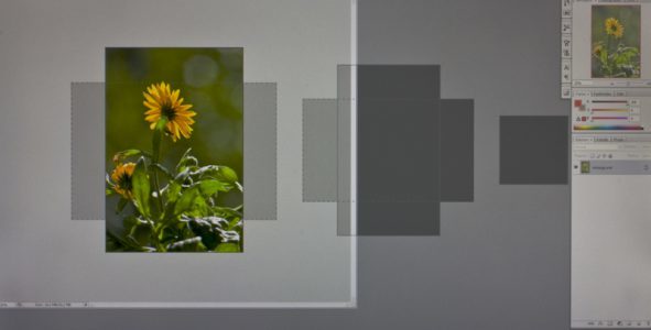 Asus Pa238q Monitor Quickfit