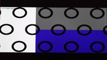 Nec Ex231wp Monitor Skalierung Vollbild 4zu3