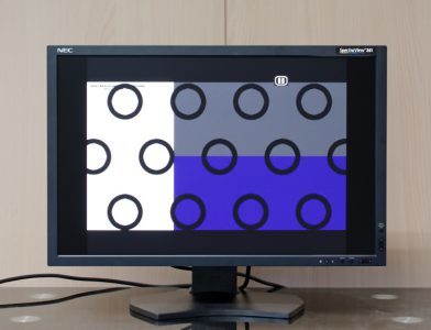 Nec Spectraview 241 Monitor Aspect