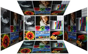 Eizo Ev2436wfs Bk Monitor EV2436WH Blickwinkel