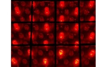 LED-Vision: Display und WLAN-Ersatz in einem
