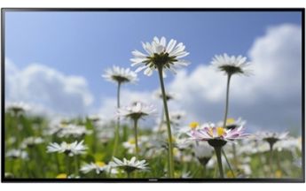 Neue Samsung Monitore: Stromsparende Alternative zum Projektor