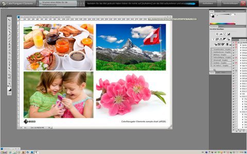 Eizo Cx240 Monitor Cne2