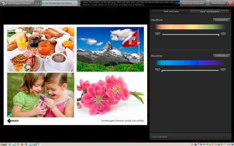 Eizo Cx240 Monitor Cne4