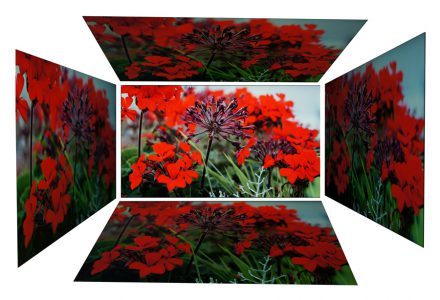 Aoc I2360phu Monitor Blickwinkel