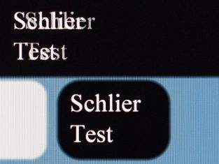 Asus Pa279q Monitor Schliertest 2