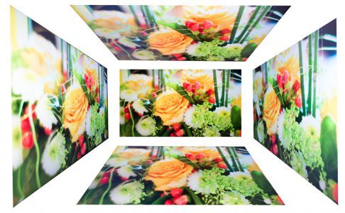 Acer H236hlbmjd Monitor Blickwinkel