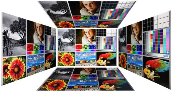 Eizo Ev2455 Bk Monitor Blickwinkel