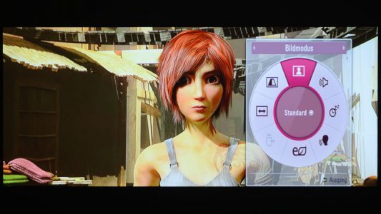Lg Pa1000 Beamer Foto OSD 2