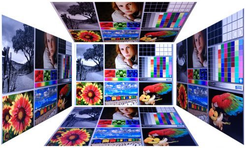 Eizo Cs240 Monitor Blickwinkel