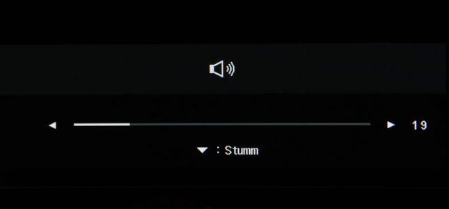 Lg 34um67 P Monitor Osd Lautstaerke