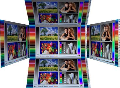 Samsung U24e850r Monitor Blickwinkel