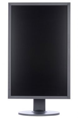 Eizo Cs2420 Monitor Ansicht Pivot