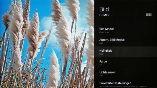 Sony Kd 49xd8005 Fernseher Bildqualitaet7