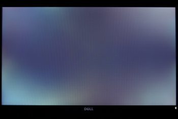 Dell P2418hz Monitor Schwarzbild Verl