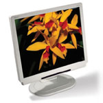 Monitor Datenblatt Acer AL1721M