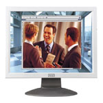 Monitor Datenblatt CTX S521A