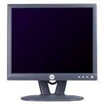 Monitor Datenblatt Dell E173FP